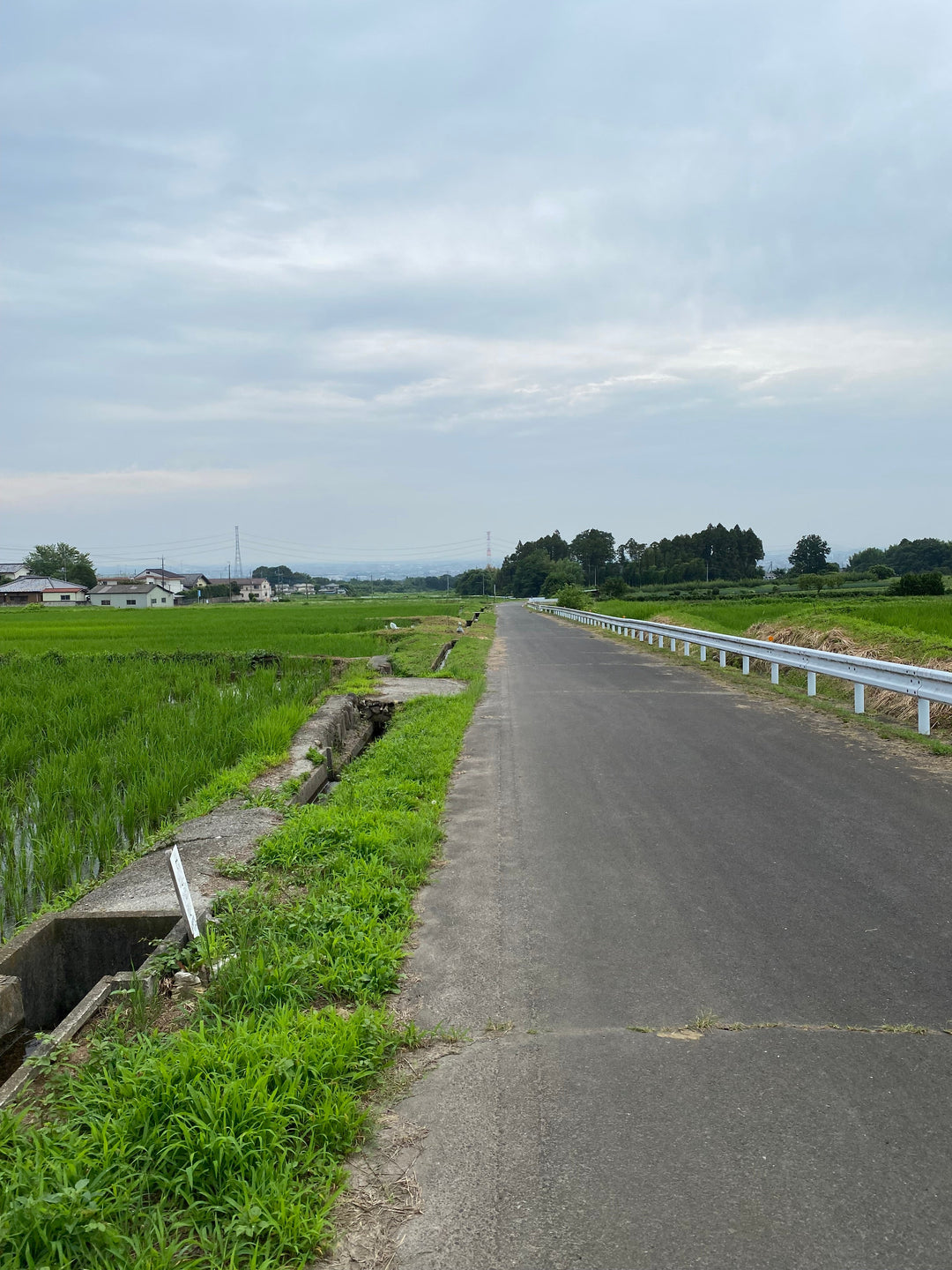 夏本番がとうとうやって来た。"この夏おすすめの洋服をご紹介"