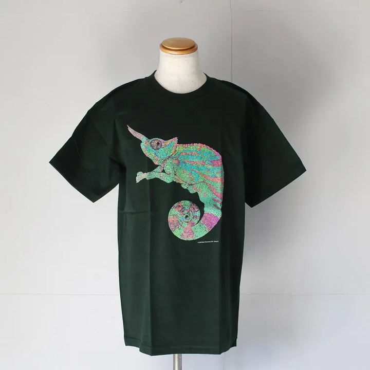 Cotton Expressions CHAMELEON T-SHIRT Green