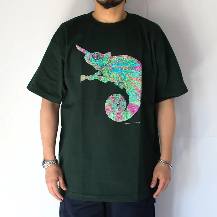 Cotton Expressions CHAMELEON T-SHIRT Green