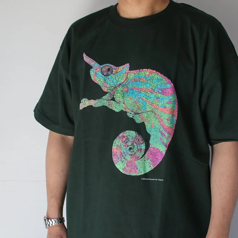 Cotton Expressions CHAMELEON T-SHIRT Green