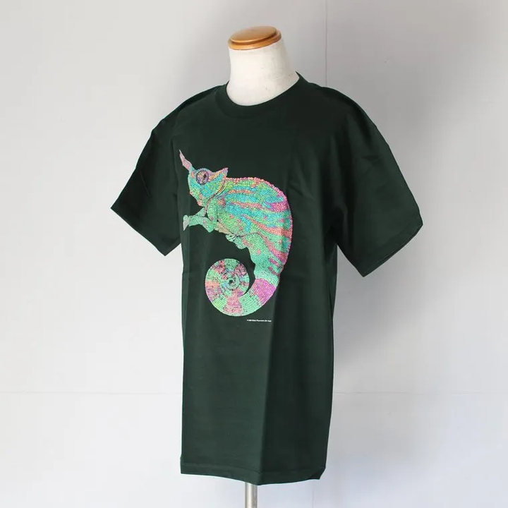 Cotton Expressions CHAMELEON T-SHIRT Green