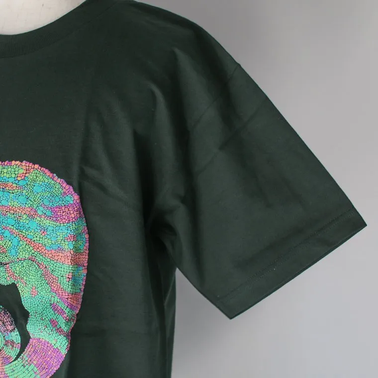 Cotton Expressions CHAMELEON T-SHIRT Green