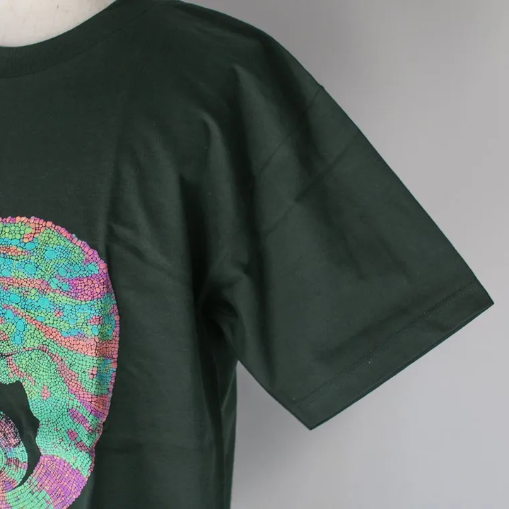 Cotton Expressions CHAMELEON T-SHIRT Green