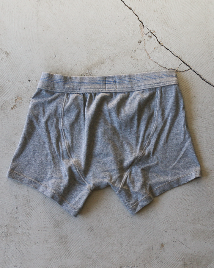SCHIESSER REVIVAL シーサーリバイバル KARL-HEINZ Shorts  グレー