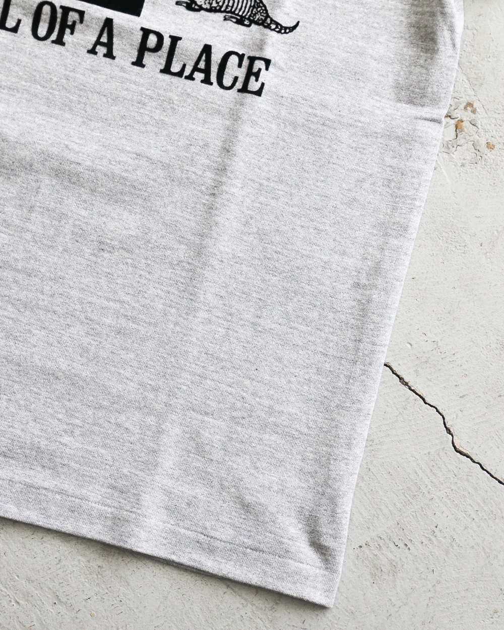 WAREHOUSE ウエアハウス Lot 4096 88/12 杢クルーネックT FT.HOOD Gray