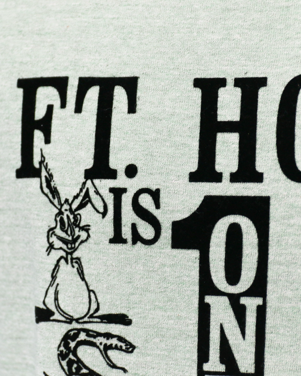 WAREHOUSE ウエアハウス Lot 4096 88/12 杢クルーネックT FT.HOOD Green