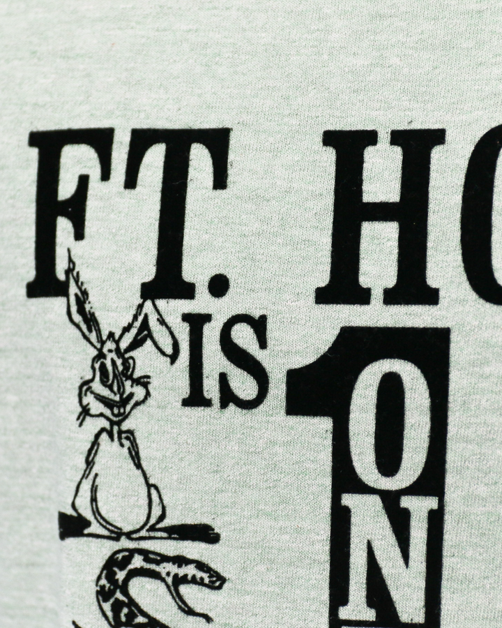 WAREHOUSE ウエアハウス Lot 4096 88/12 杢クルーネックT FT.HOOD Green