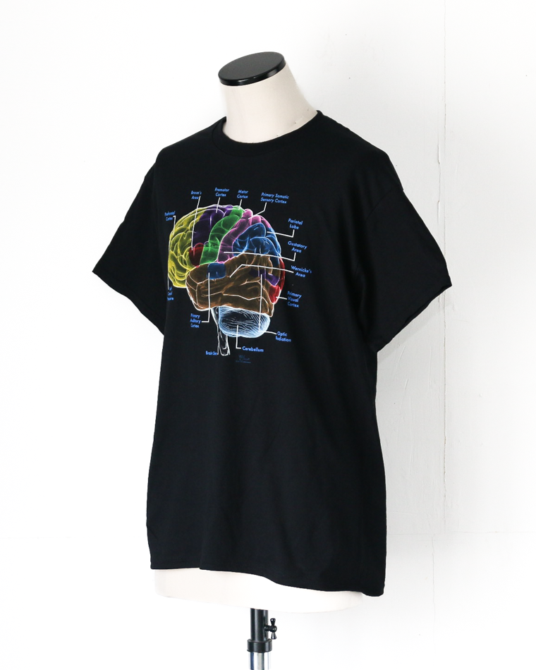 Cotton Expressions Glow Brain T Black