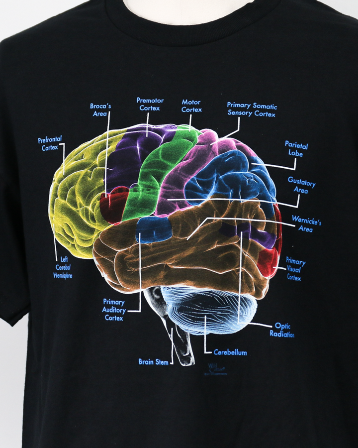 Cotton Expressions Glow Brain T Black
