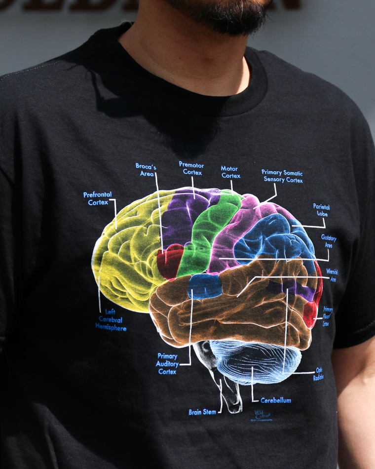 Cotton Expressions Glow Brain T Black