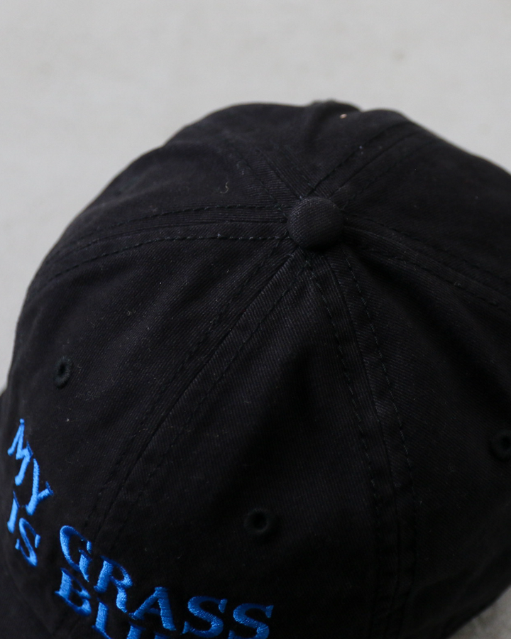 BLUESCENTRIC ブルースセントリック Logo Cap