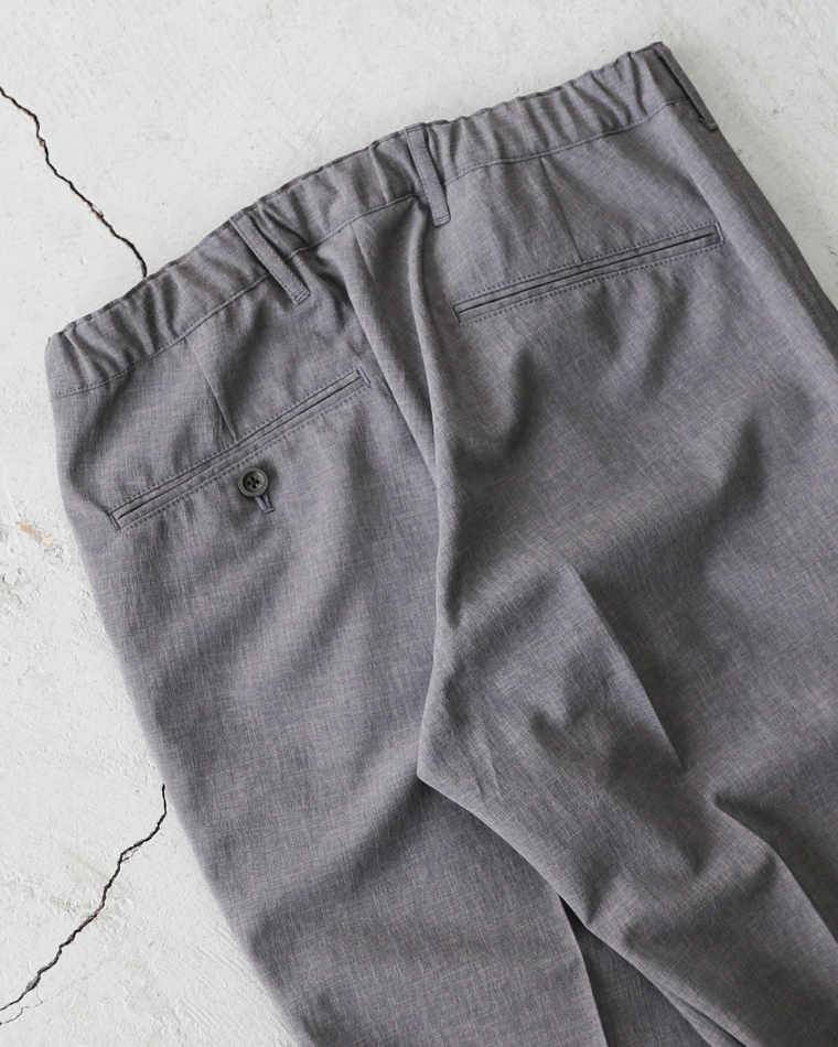 DELICIOUS デリシャス NEW Travel Pants -26SS- Grey