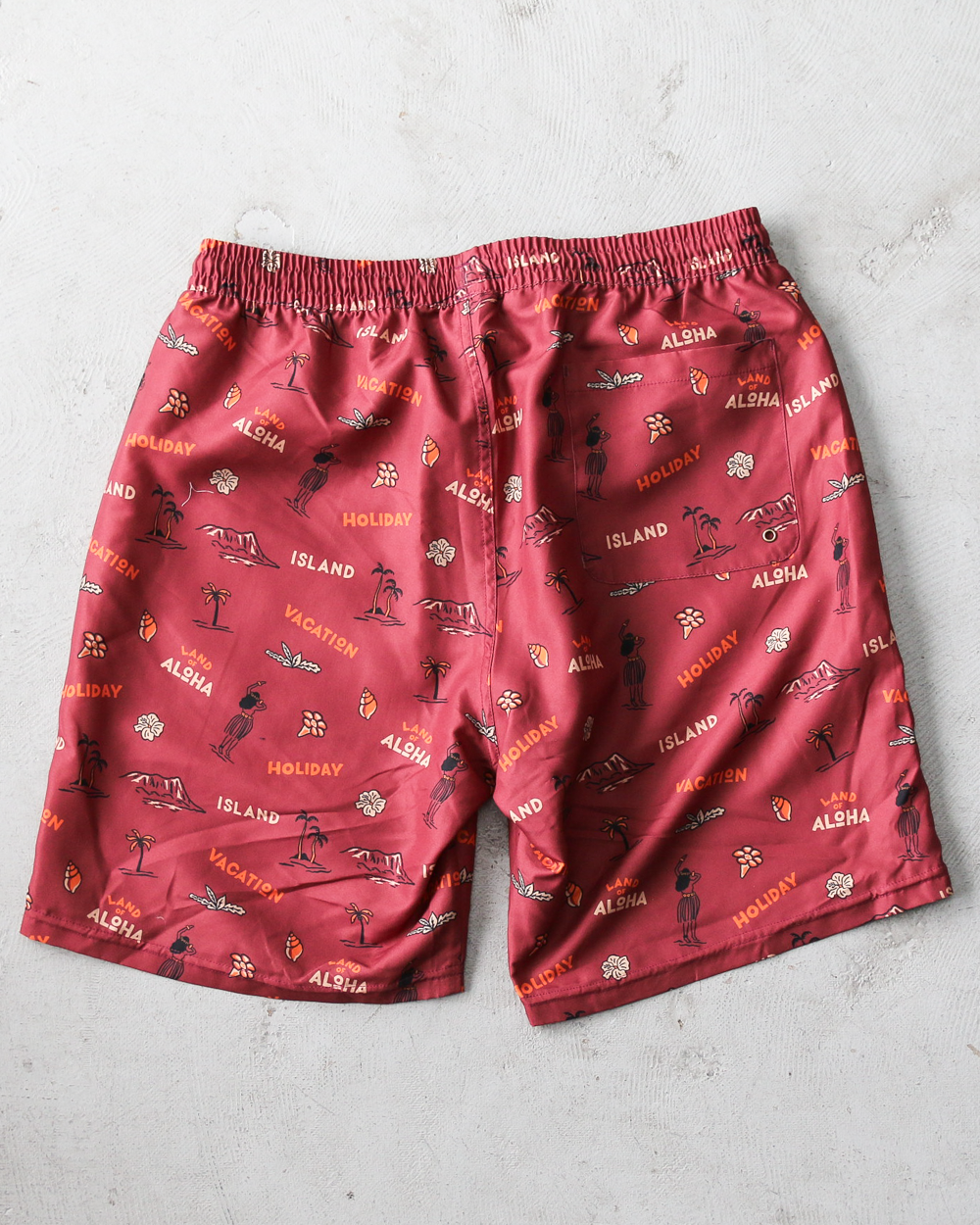 Seaing Board Shorts VACATION Brown