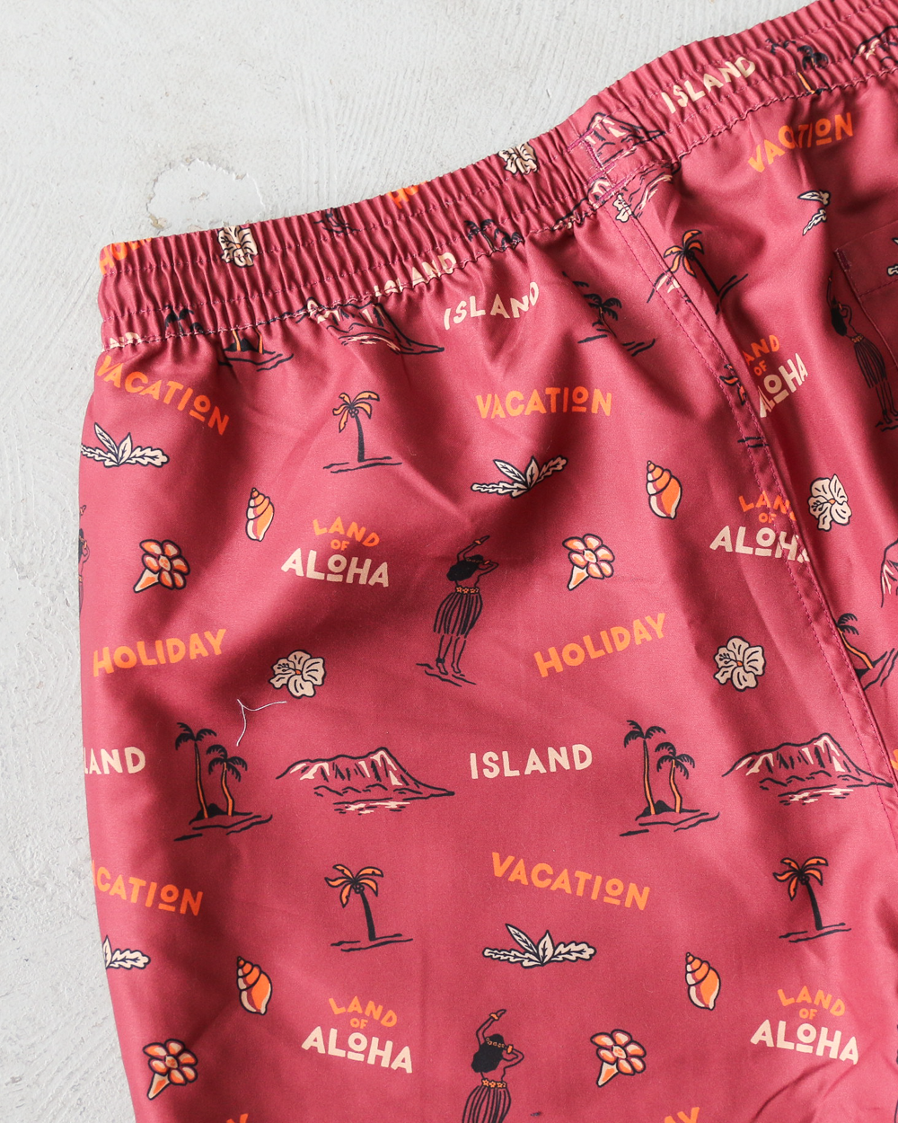 Seaing Board Shorts VACATION Brown