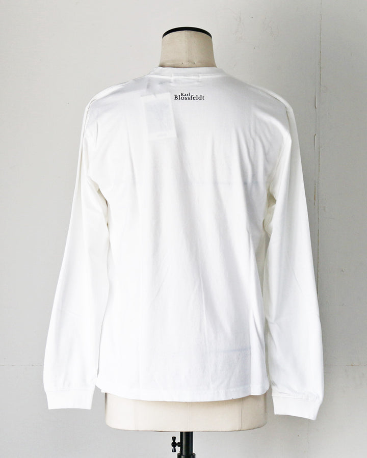 Karl Blossfeldt カールブロスフェルト Symphytum Officinale L/S Garment Dye T Shirt