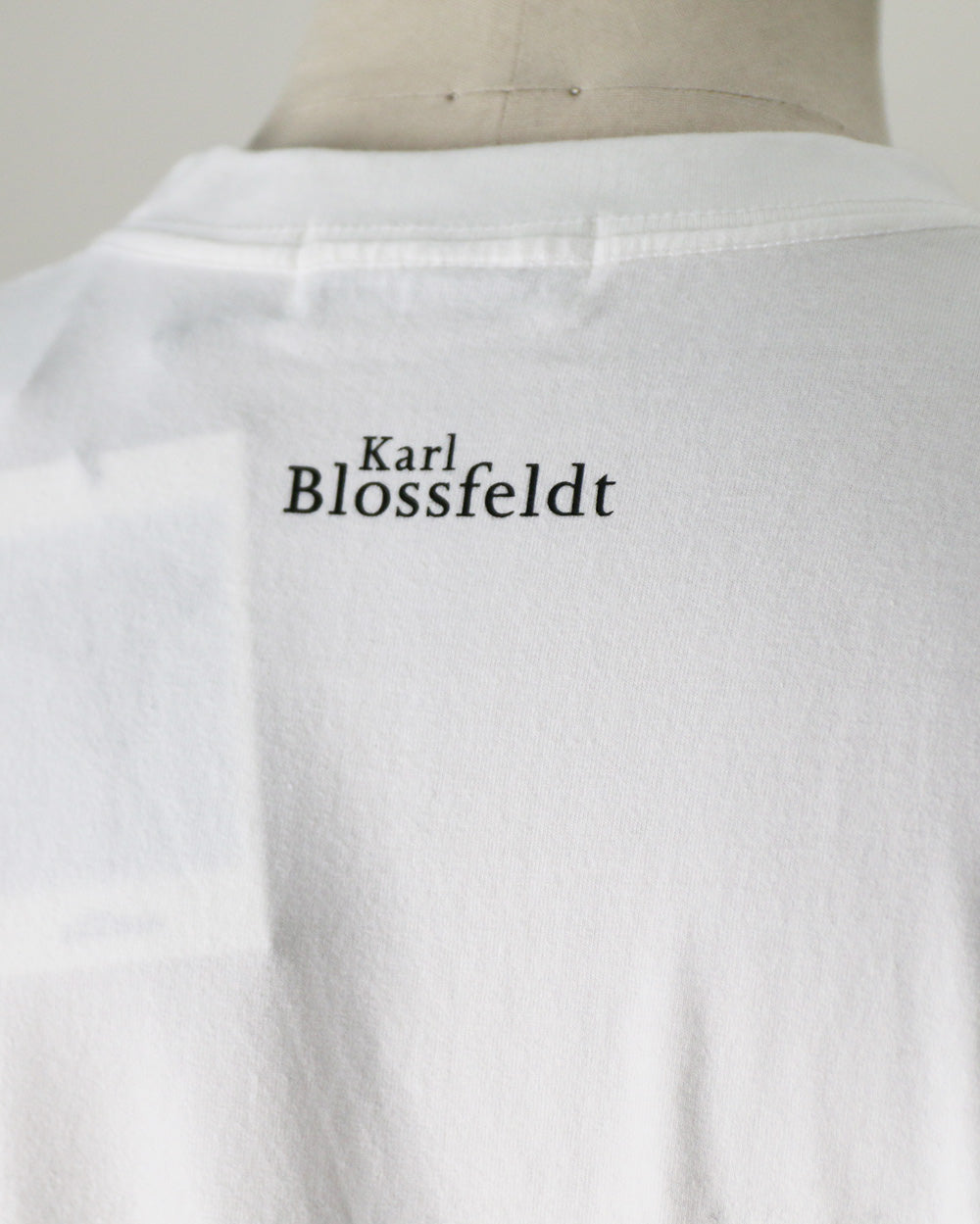 Karl Blossfeldt カールブロスフェルト Symphytum Officinale L/S Garment Dye T Shirt