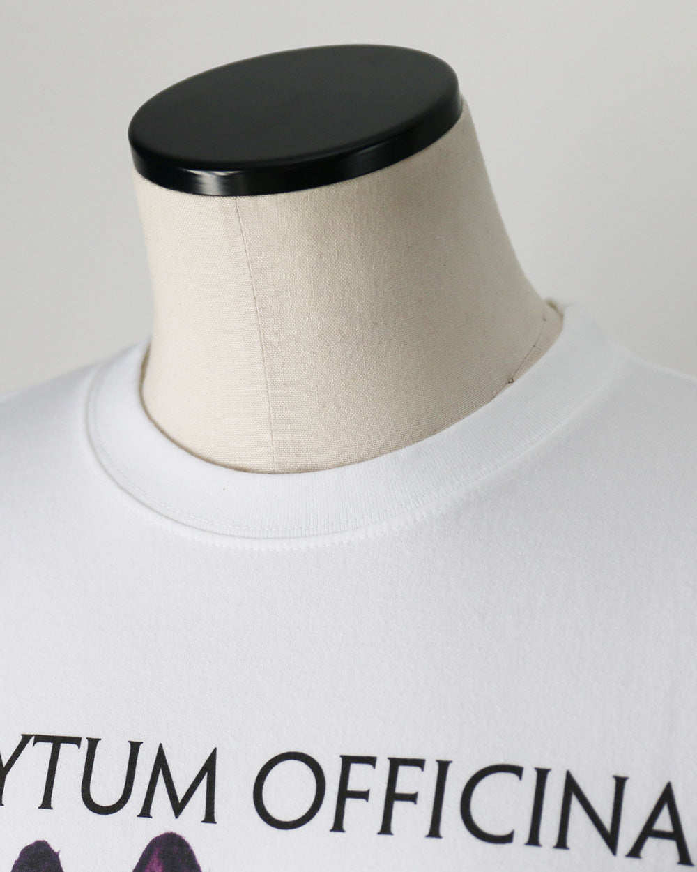 Karl Blossfeldt カールブロスフェルト Symphytum Officinale L/S Garment Dye T Shirt