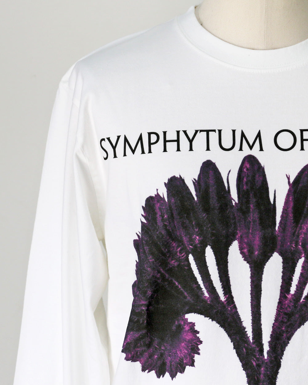 Karl Blossfeldt カールブロスフェルト Symphytum Officinale L/S Garment Dye T Shirt