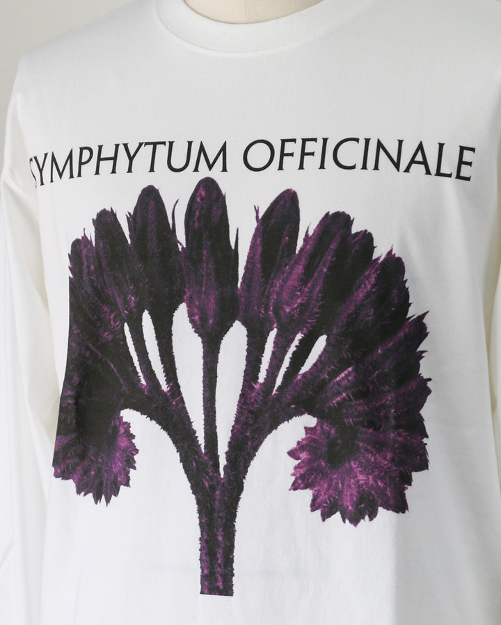 Karl Blossfeldt カールブロスフェルト Symphytum Officinale L/S Garment Dye T Shirt