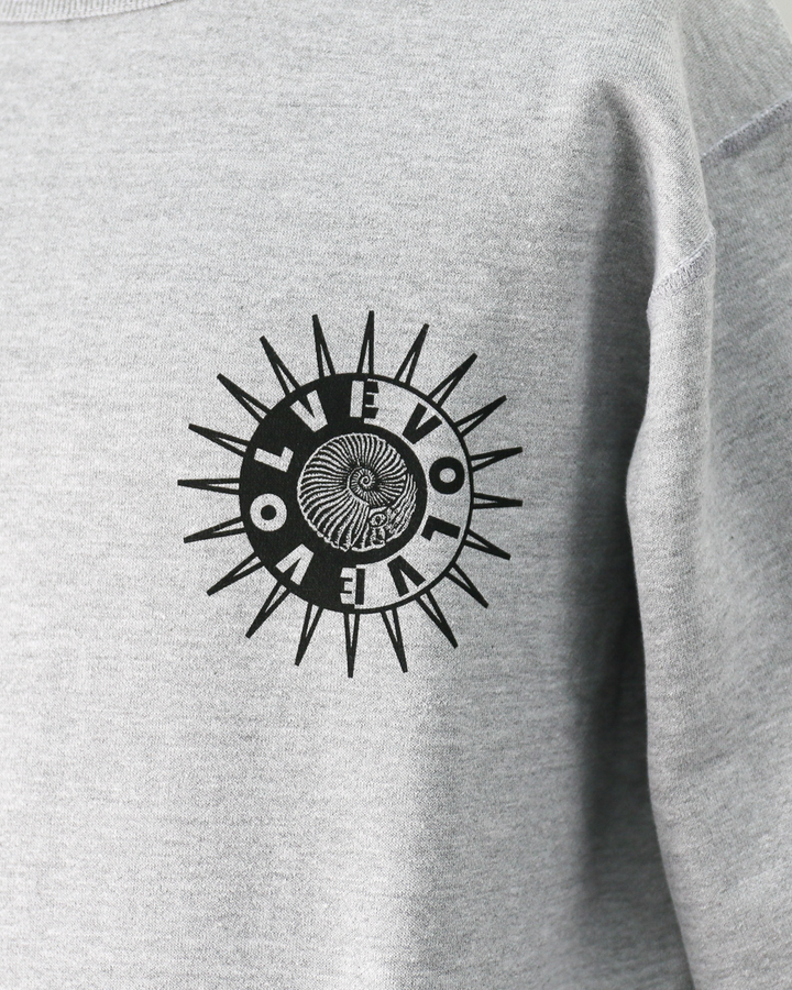 RAY TROLL Evolve Crew Fleece Neck Sweat Heather Grey